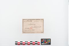 Etiketten zu Eisenärmchenbeil (NHMW-PRAE-024329)